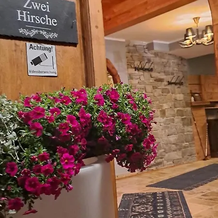 Zwei Hirsche Seefeld in Tirol