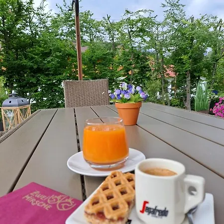 Lodge Zwei Hirsche *