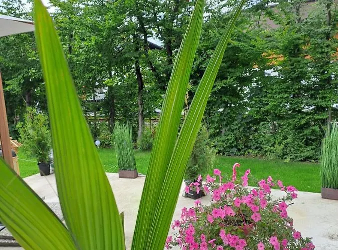 Lodge Zwei Hirsche Ζέεφελντ