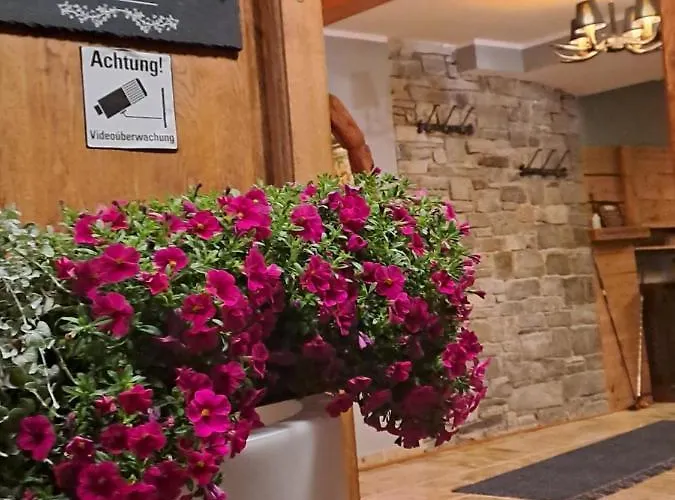 Zwei Hirsche Зеефельд в Тироле