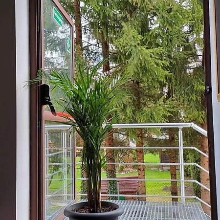 Zwei Hirsche